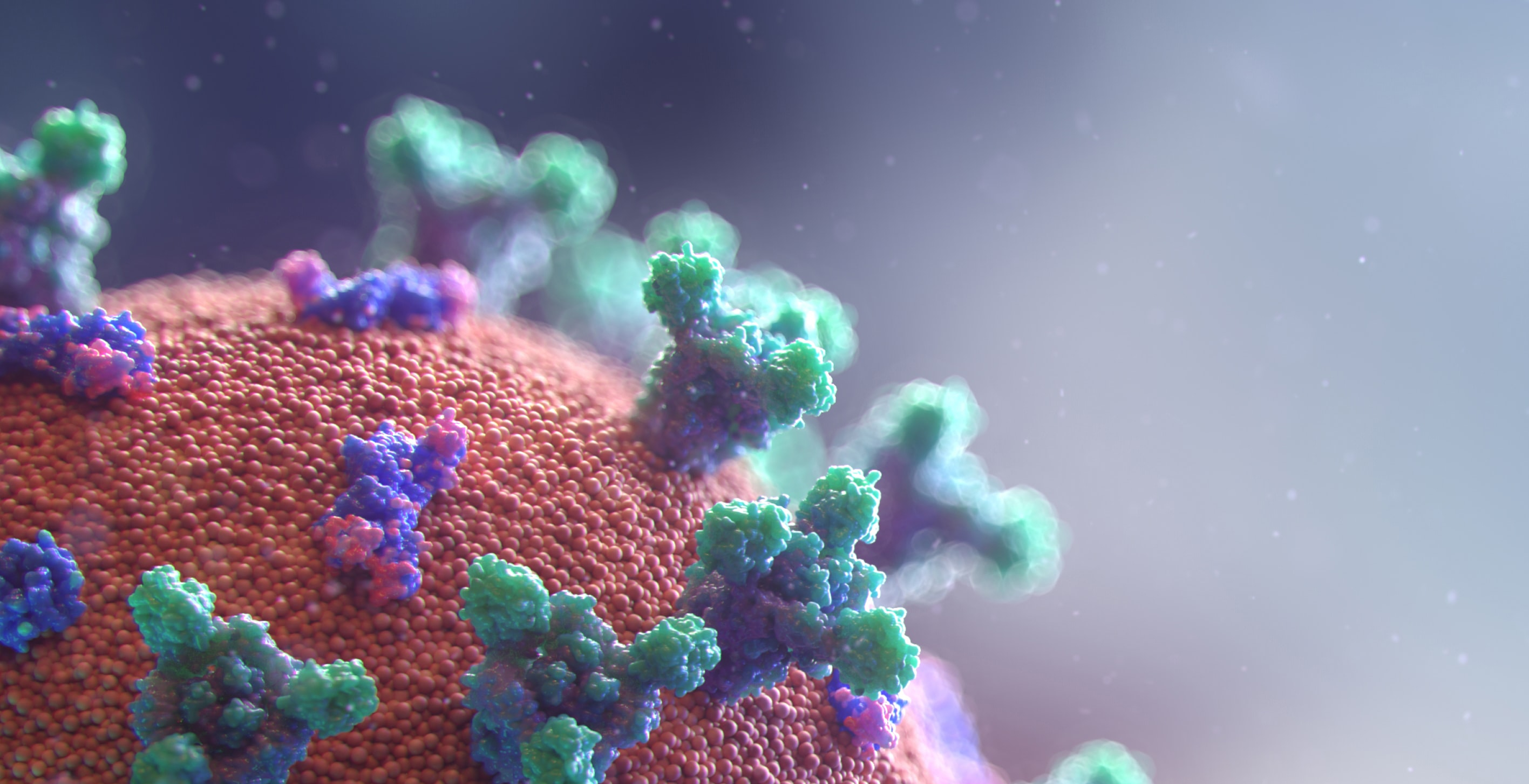 Coronavirus (Fusion Medical)